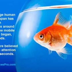 social media goldfish attention span